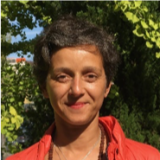 Ana I. M. C. Lobo Ferreira